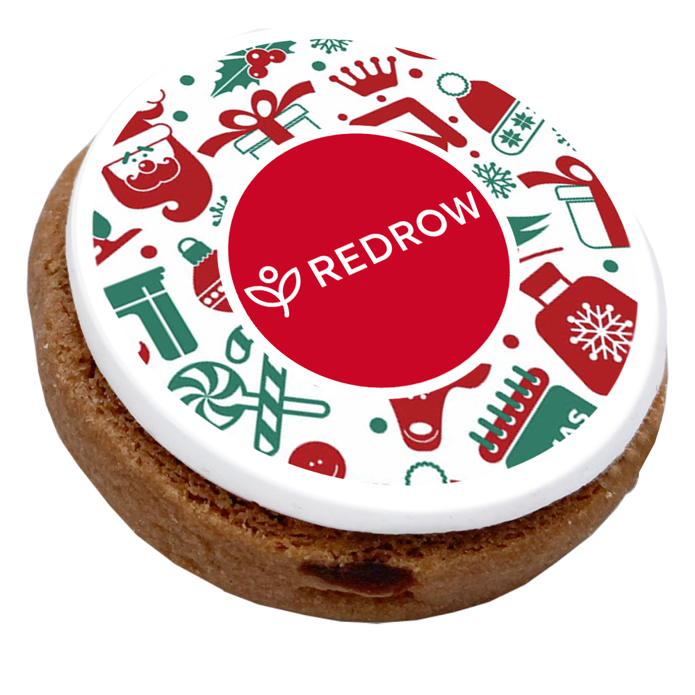Christmas Iced Cookie Cocoa White Chocolate Cranberry