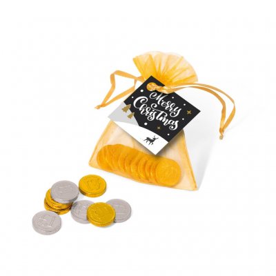 Promotional Christmas Chocolate Coins