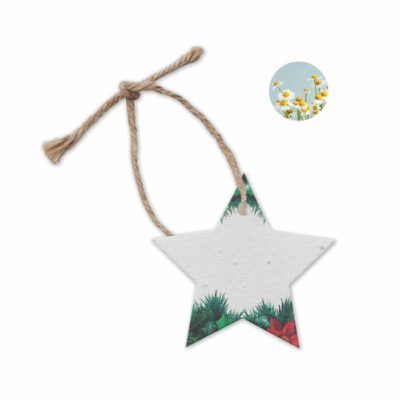 Seed Paper Christmas Ornament Star